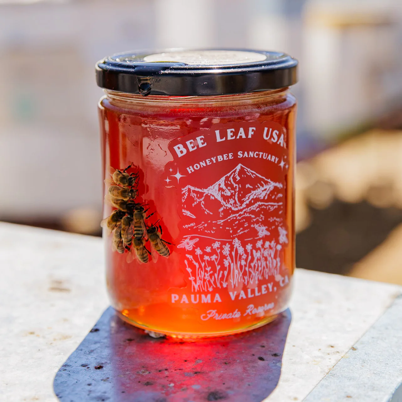 Bee Leaf Honey - Image 2
