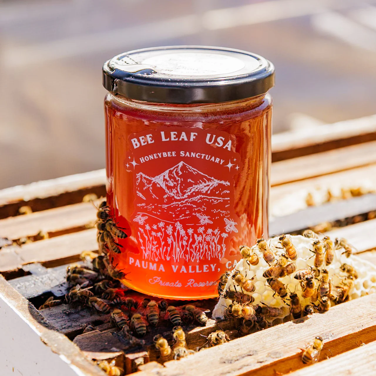 Bee Leaf Honey - Image 3