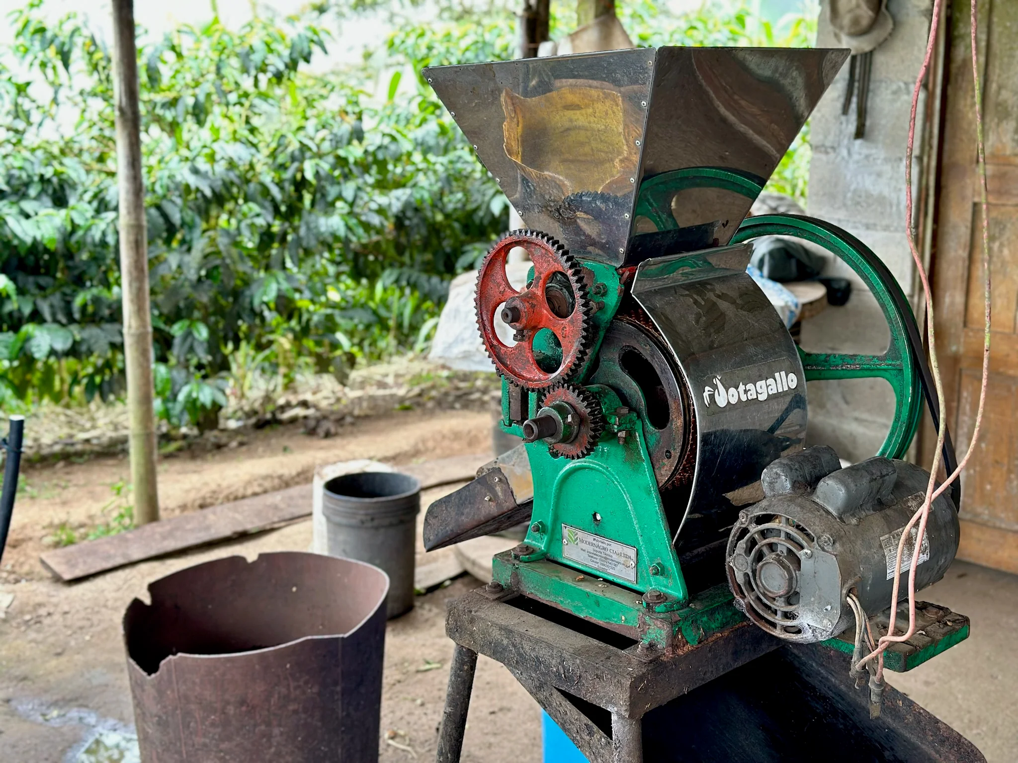 Finca La Carolina - Image 4