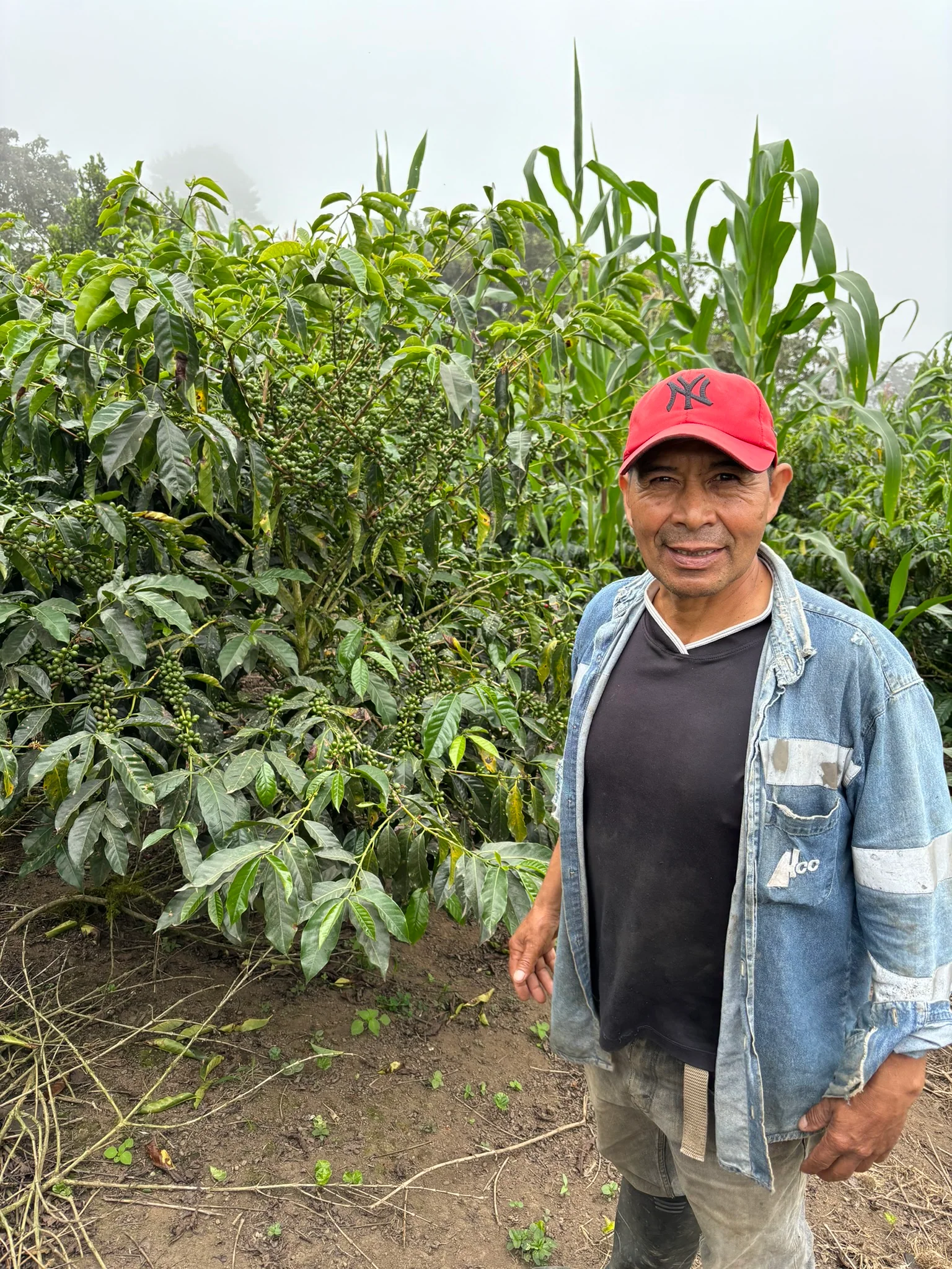 Finca La Carolina - Image 9