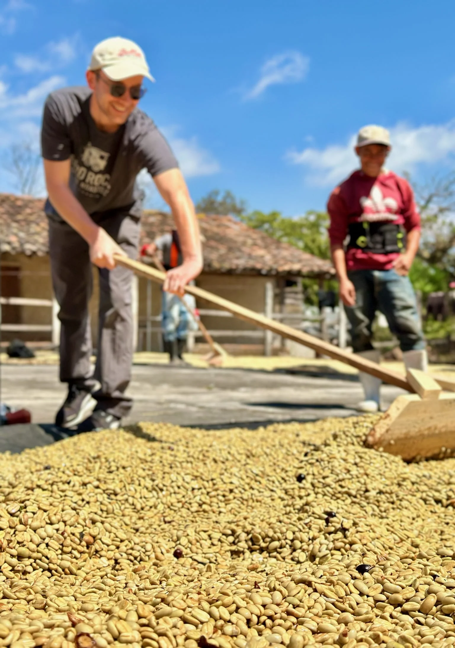 Los Planes Pacamara - Image 5